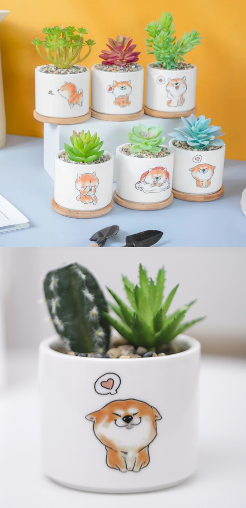 small plant pots for succulents